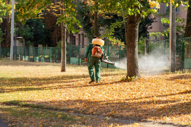 Pest Prevention Services in Surgoinsville, TN